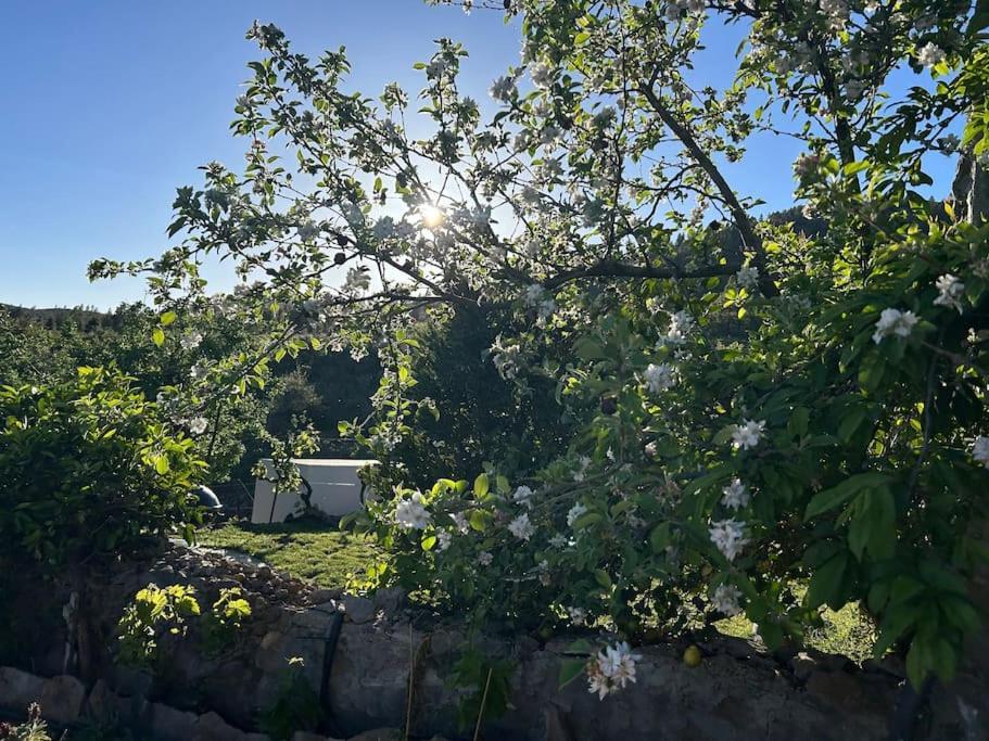 וילפלור Lilly'S Finca - Romantischter Rueckzugsort - Pool מראה חיצוני תמונה