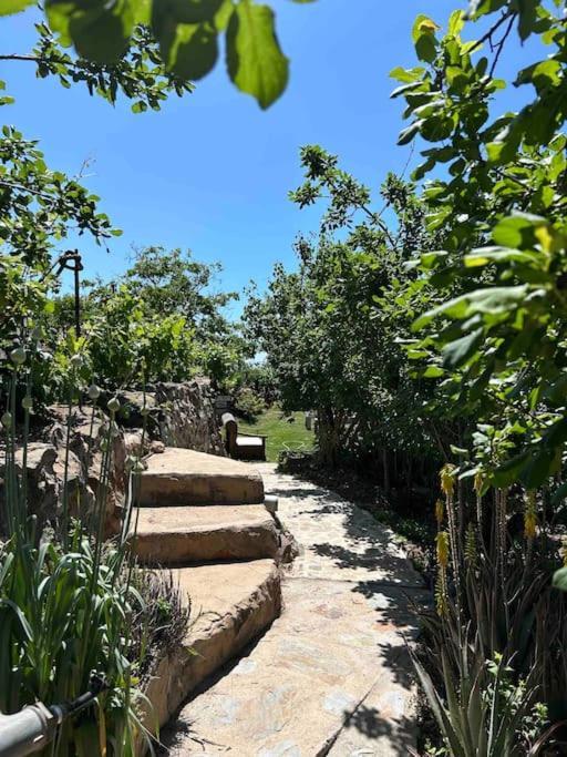 וילפלור Lilly'S Finca - Romantischter Rueckzugsort - Pool מראה חיצוני תמונה